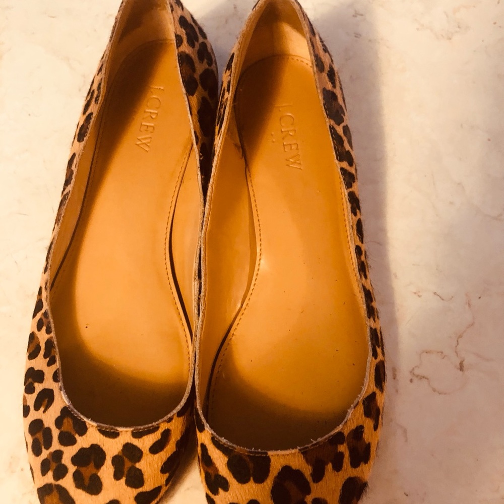 J crew size 8
